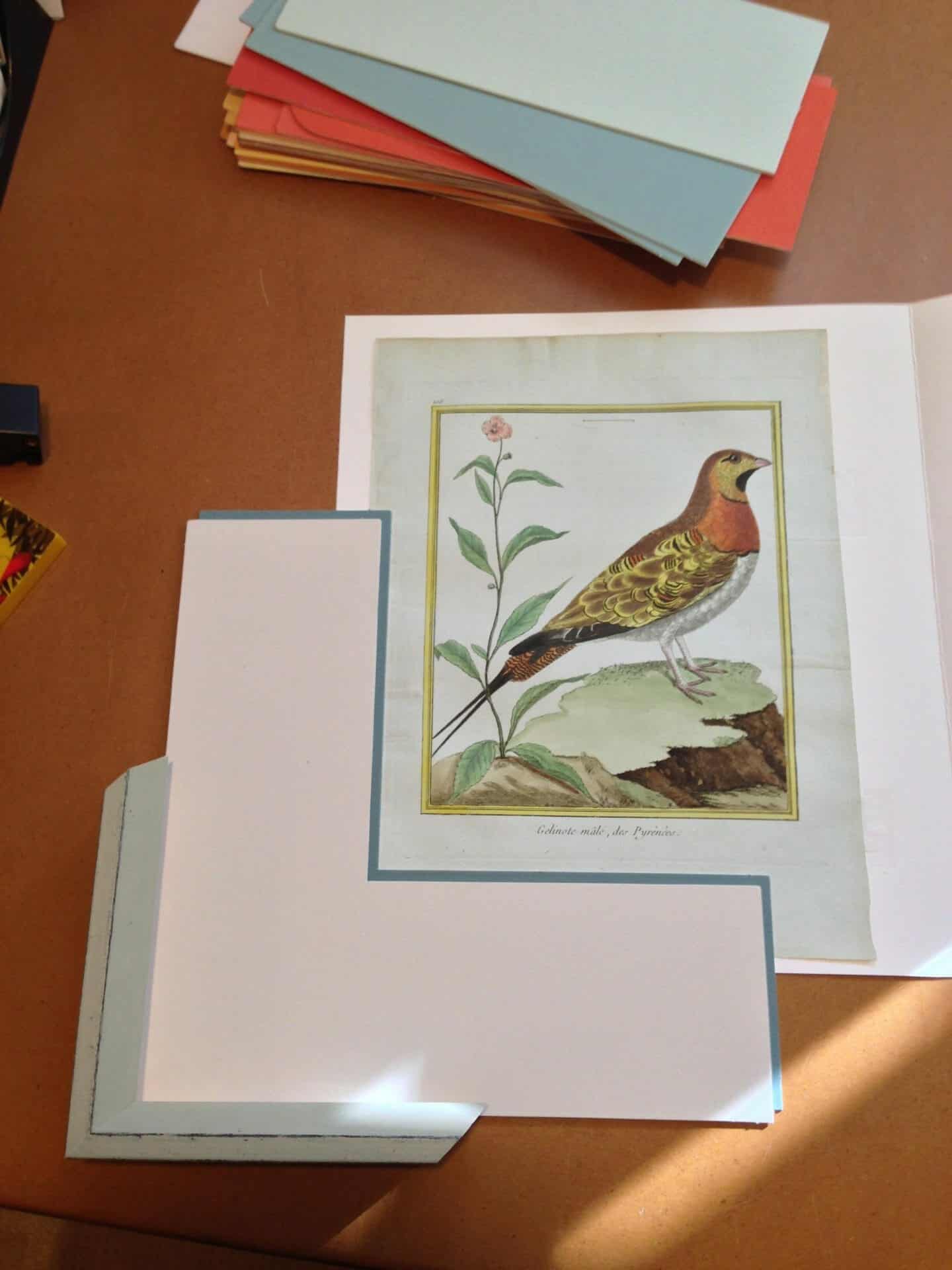 Martinet Bird etching