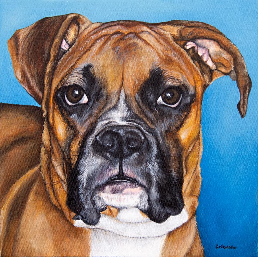 Pet portrait painting of a Boxer by fine arts painter Erica Eriksdotter