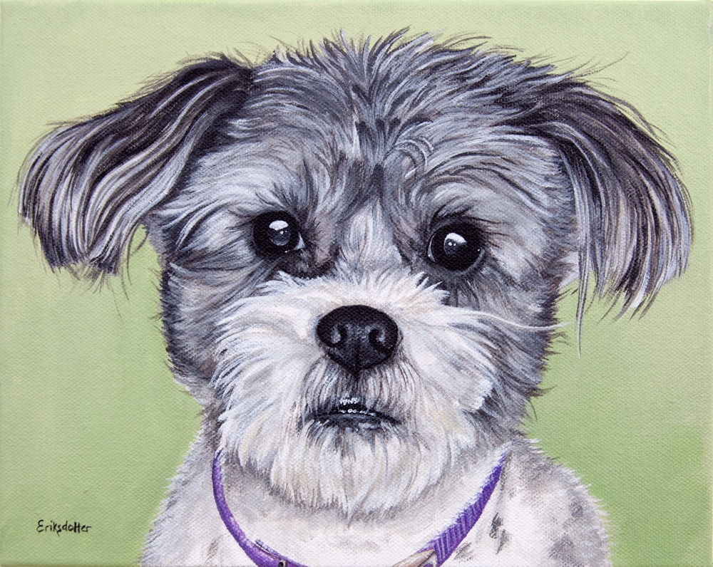 Pet portrait painting of a Shih Tzu and Jack Russel mix by fine arts painter Erica Eriksdotter