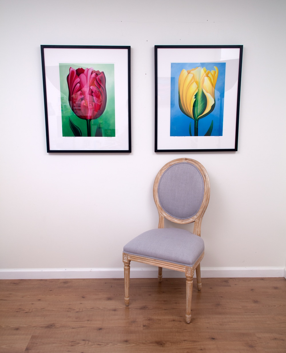 Unwavering Tulips - Magenta and Yellow, limited editions by Erica Eriksdotter