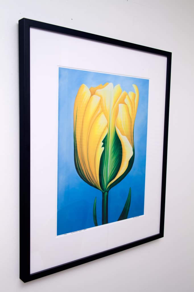 Unwavering Tulip - Yellow, limited edition by Erica Eriksdotter