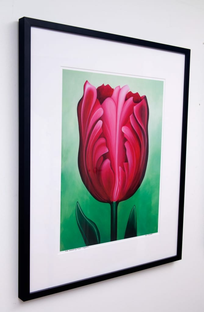 Unwavering Tulip - Magenta, limited edition by Erica Eriksdotter