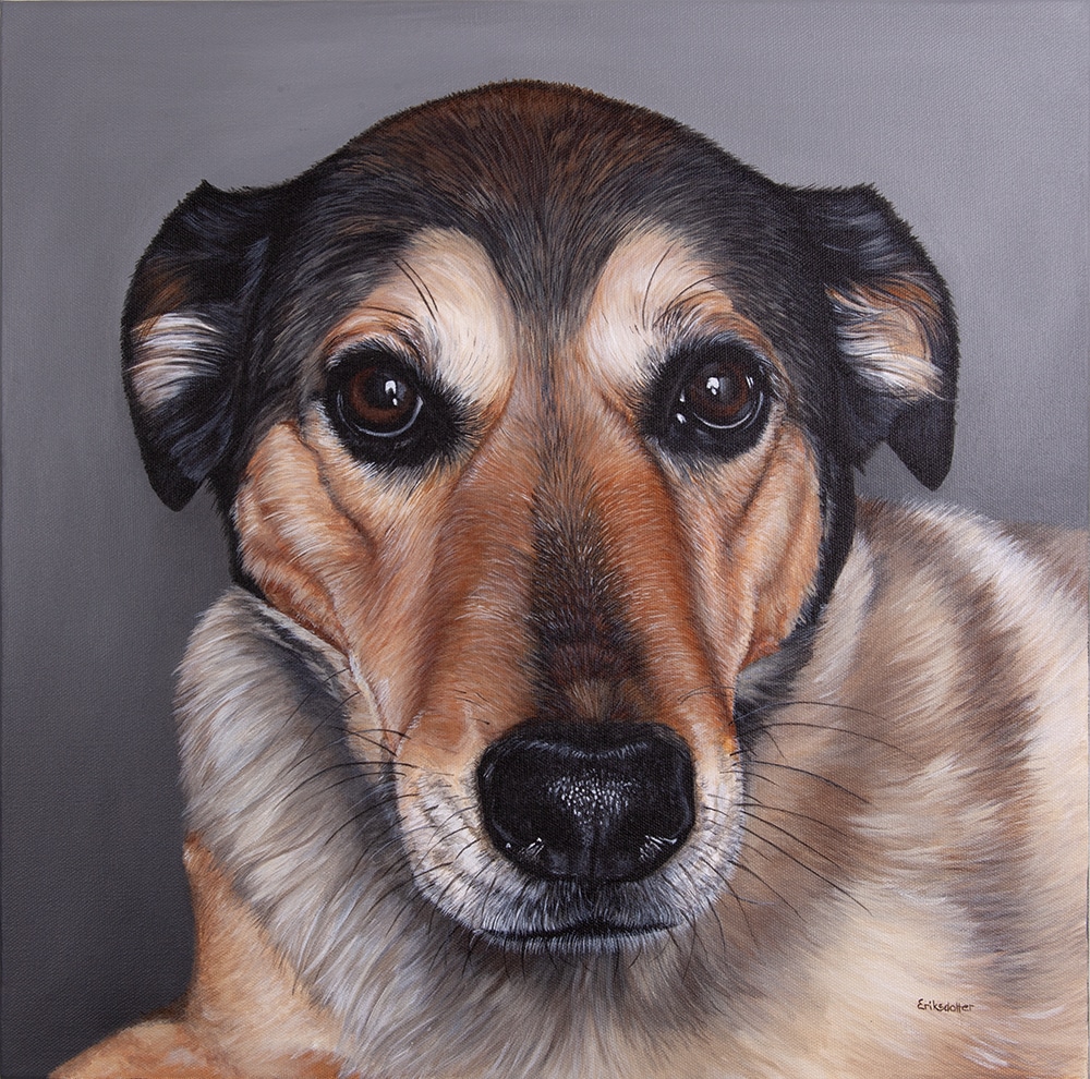 Custom dog portrait of a labrador retriever mix by artist Erica Eriksdotter