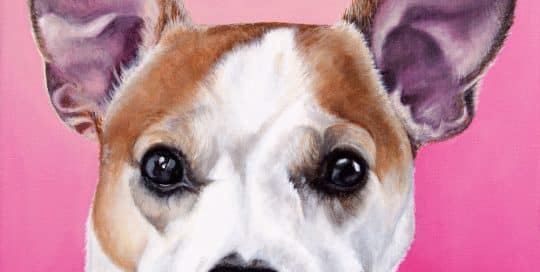 Custom dog portrait of Olive, a jack russell and chihuahua dog by fine arts painter Erica Eriksdotter, close up
