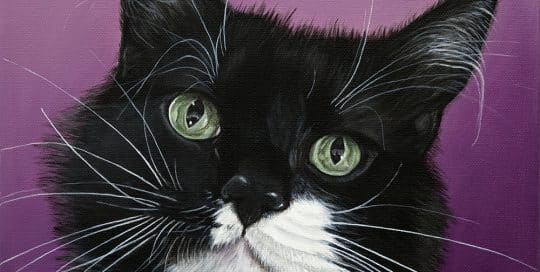 Pashy's Pet Portrait - original painting by Erica Eriksdotter of Studio Eriksdotter
