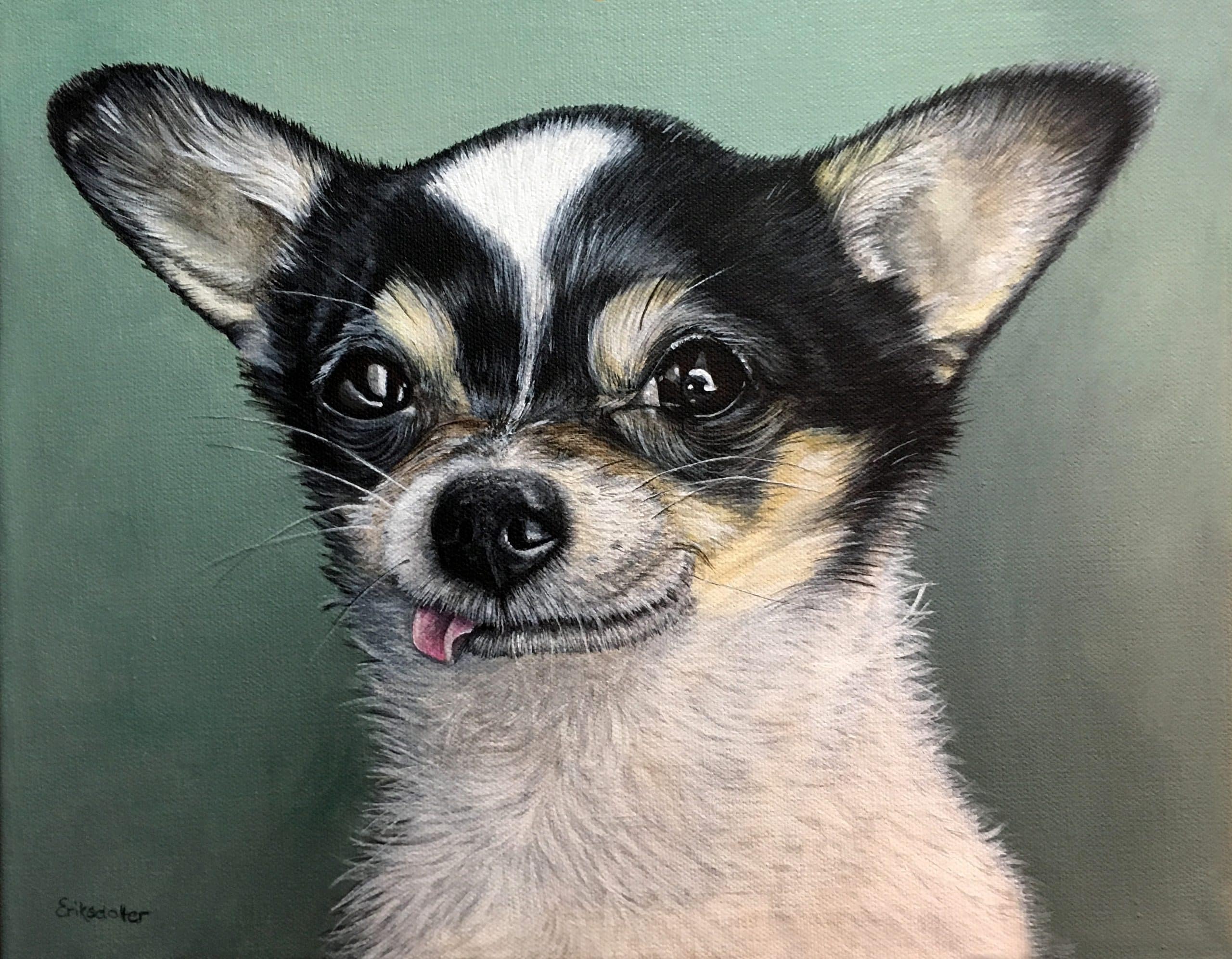 Custom pet portrait of a black and white Chihuahua with its tongue slightly out, painted by artist Erica Eriksdotter, showcasing lifelike detail and personality.