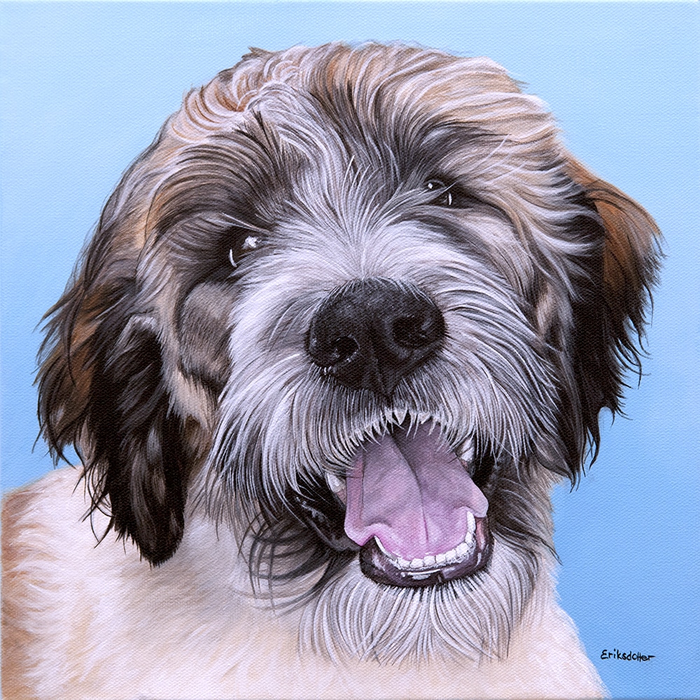 Custom dog portrait of a Saint Berdoodle dog by fine arts painter Erica Eriksdotter