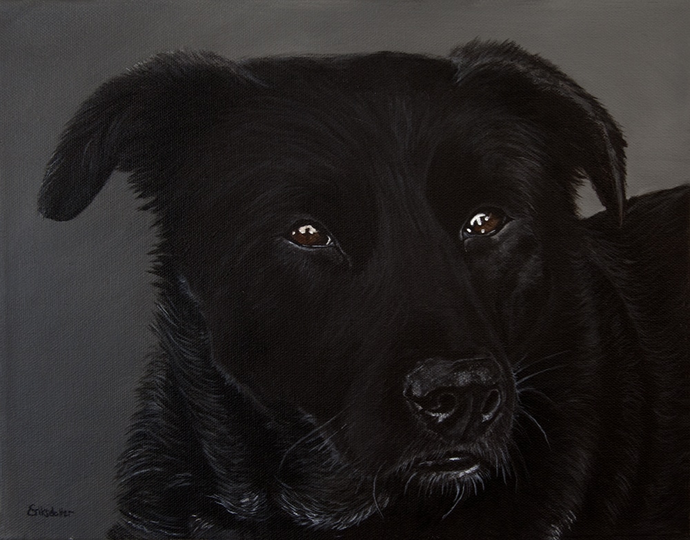 Custom dog portrait of a labrador and border collie mix by fine arts painter Erica Eriksdotter, close up