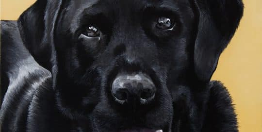 Custom dog portrait of a black labrador dog by fine arts painter Erica Eriksdotter