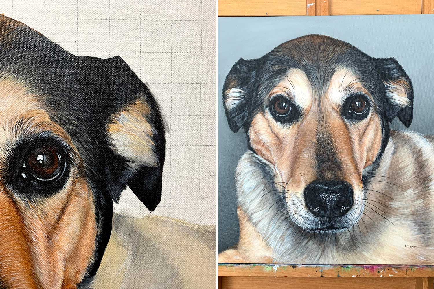 how to draw a realistic dog face
