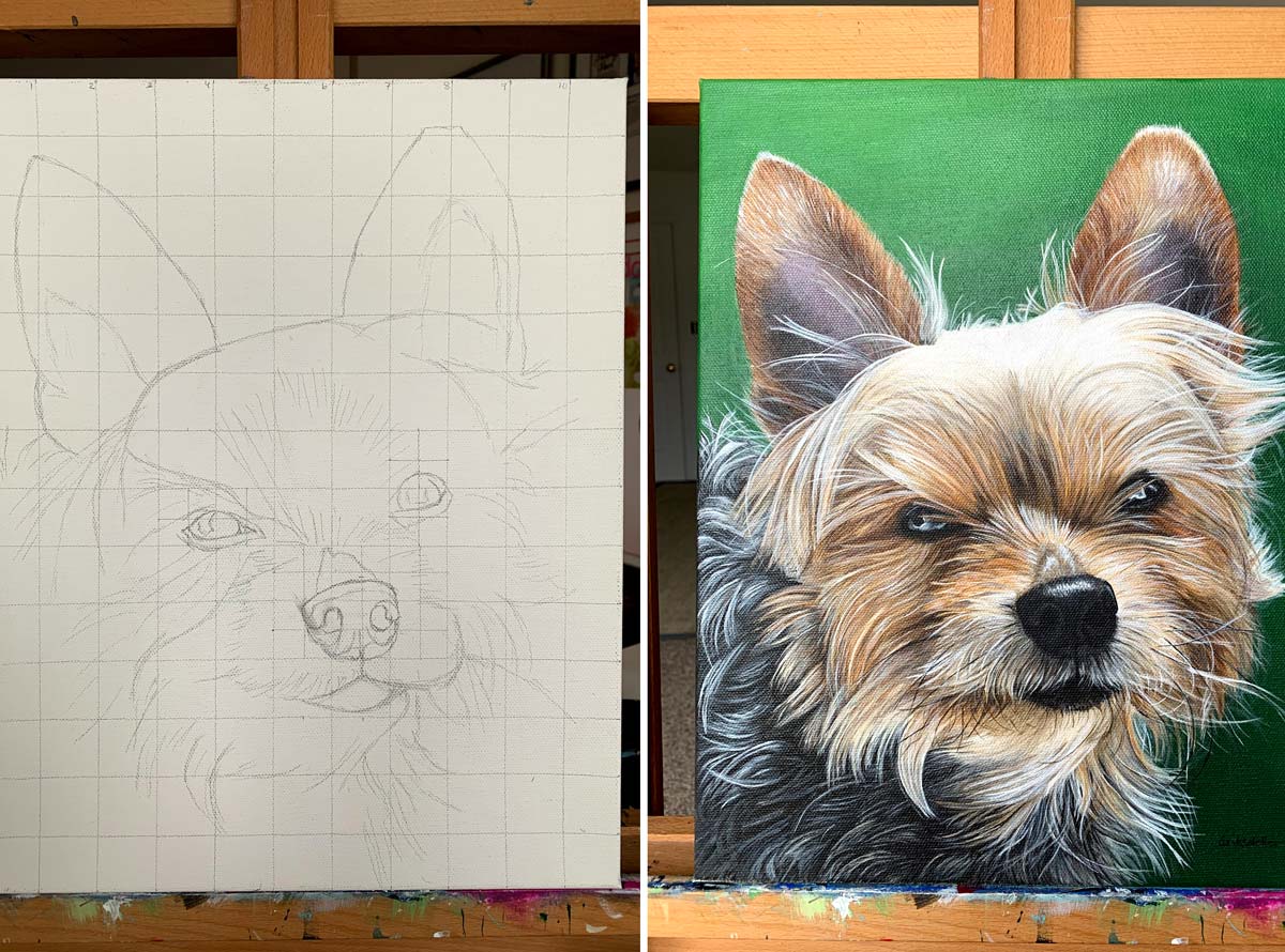 Pet Drawings By Christine